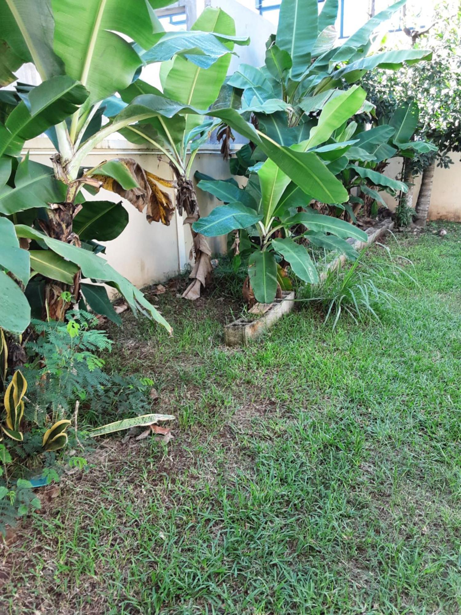 Bodhee Villa Grand Baie Esterno foto